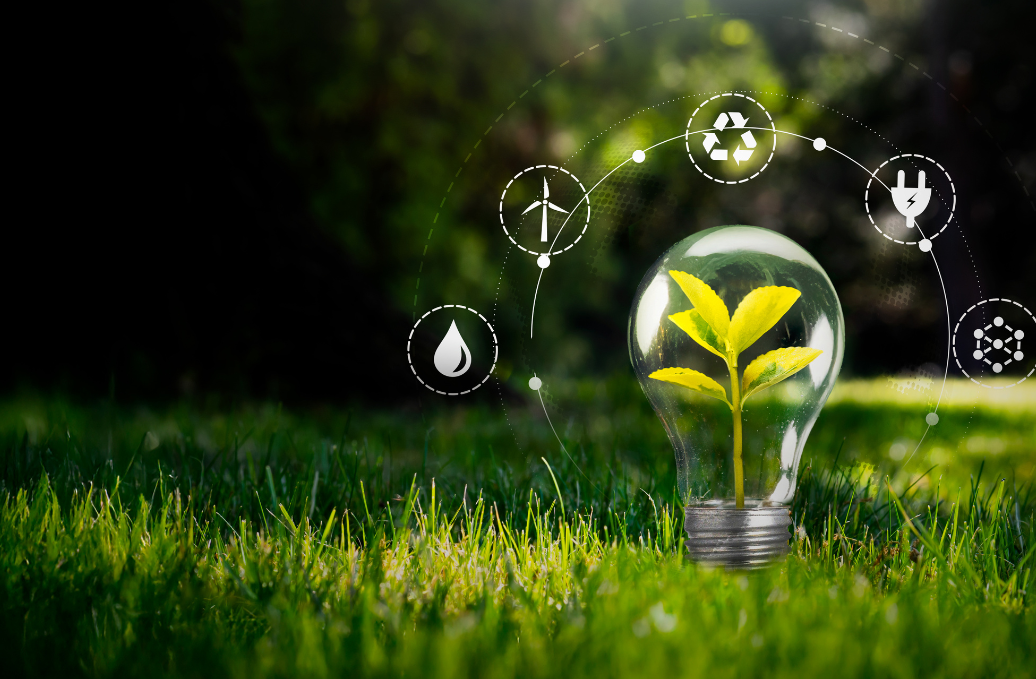 Innovative sustainability solutions for Philippine business leadership, bridging professional excellence with nature.