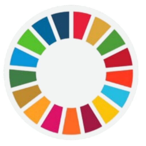 Official logo of the Philippine CPAs for Sustainability (CPA4S) featuring the UN Sustainable Development Goals colorful wheel.